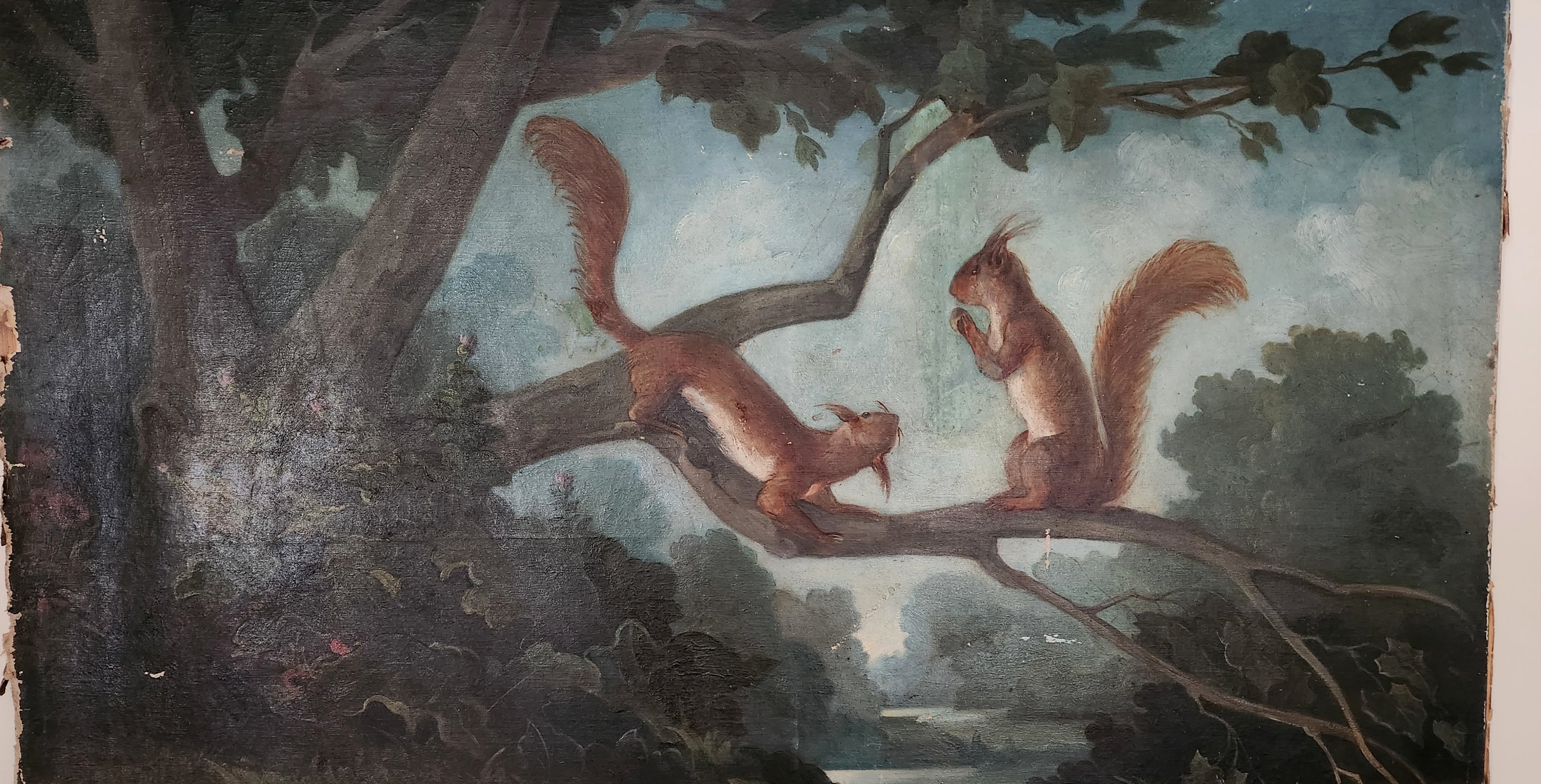 Picture of two red squirrels on a branch